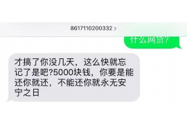 楚雄遇到恶意拖欠？专业追讨公司帮您解决烦恼